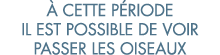   cette p riode il est possible de voir passer les oiseaux