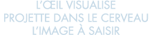 l  il visualise projette dans le cerveau l image   saisir 