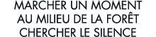 marcher un moment au milieu de la for t chercher le silence 
