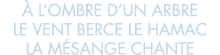   l ombre d un arbre le vent berce le hamac la m sange chante 