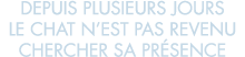 depuis plusieurs jours le chat n est pas revenu chercher sa pr sence 