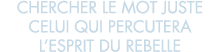 chercher le mot juste celui qui percutera l esprit du rebelle 