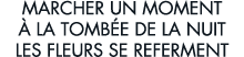marcher un moment   la tomb e de la nuit les fleurs se referment 