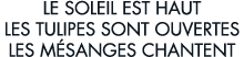 le soleil est haut les tulipes sont ouvertes les m sanges chantent 