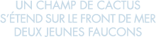 un champ de cactus s  tend sur le front de mer deux jeunes faucons 
