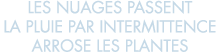 les nuages passent la pluie par intermittence arrose les plantes 