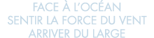 face   l oc an sentir la force du vent arriver du large 