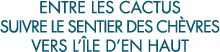 entre les cactus suivre le sentier des ch vres vers l  le d en haut 