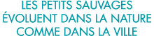 les petits sauvages  voluent dans la nature comme dans la ville 