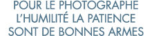 pour le photographe l humilit  la patience sont de bonnes armes 