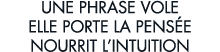 une phrase vole elle porte la pens e nourrit l intuition