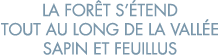 la for t s  tend tout au long de la vall e sapin et feuillus 