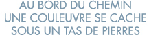au bord du chemin une couleuvre se cache sous un tas de pierres 