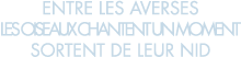entre les averses les oiseaux chantent un moment sortent de leur nid 