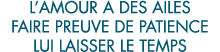 l amour a des ailes faire preuve de patience lui laisser le temps 