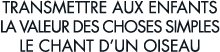 transmettre aux enfants la valeur des choses simples le chant d un oiseau 