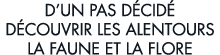 d un pas d cid  d couvrir les alentours la faune et la flore 