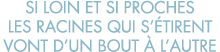 si loin et si proches les racines qui s  tirent vont d un bout   l autre