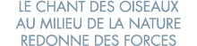le chant des oiseaux au milieu de la nature redonne des forces 