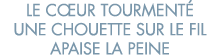 le c ur tourment  une chouette sur le fil apaise la peine 