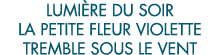 lumi re du soir la petite fleur violette tremble sous le vent 