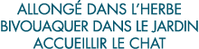 allong  dans l herbe bivouaquer dans le jardin accueillir le chat 