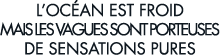 l oc an est froid mais les vagues sont porteuses de sensations pures 