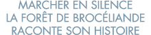 marcher en silence la for t de Broc liande raconte son histoire 