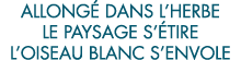 allong  dans l herbe le paysage s  tire l oiseau blanc s envole 