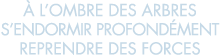   l ombre des arbres s endormir profond ment reprendre des forces 