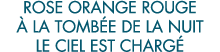 rose orange rouge   la tomb e de la nuit le ciel est charg  