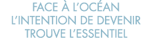 face   l oc an l intention de devenir trouve l essentiel