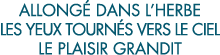 allong  dans l herbe les yeux tourn s vers le ciel le plaisir grandit 