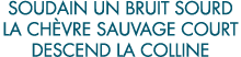 soudain un bruit sourd la ch vre sauvage court descend la colline 
