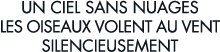 un ciel sans nuages les oiseaux volent au vent silencieusement 
