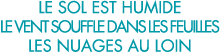 le sol est humide le vent souffle dans les feuilles les nuages au loin 
