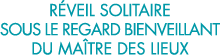 r veil solitaire sous le regard bienveillant du ma tre des lieux 
