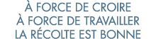   force de croire   force de travailler la r colte est bonne 