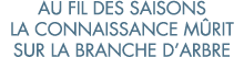 au fil des saisons la connaissance m rit sur la branche d arbre