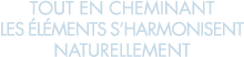tout en cheminant les  l ments s harmonisent naturellement 