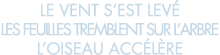 le vent s est lev  les feuilles tremblent sur l arbre l oiseau acc l re 