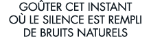 go ter cet instant o  le silence est rempli de bruits naturels 