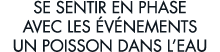 se sentir en phase avec les  v nements un poisson dans l eau 