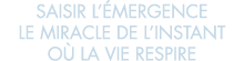 saisir l  mergence le miracle de l instant o  la vie respire 