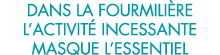 dans la fourmili re l activit  incessante masque l essentiel 