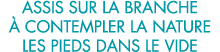 assis sur la branche   contempler la nature les pieds dans le vide 