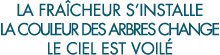 la fra cheur s installe la couleur des arbres change le ciel est voil  