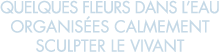 quelques fleurs dans l eau organis es calmement sculpter le vivant 