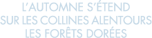 l automne s  tend sur les collines alentours les for ts dor es 