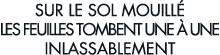 sur le sol mouill  les feuilles tombent une   une inlassablement 